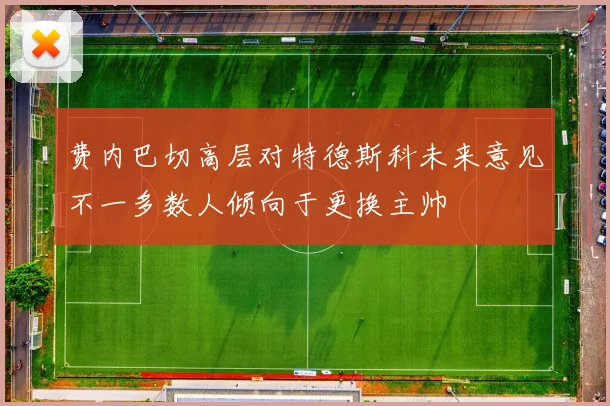 费内巴切高层对特德斯科未来意见不一多数人倾向于更换主帅